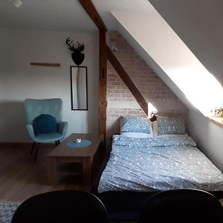 Urocze studio z klimatem w centrum Legnicy Legnica Zewnętrze zdjęcie