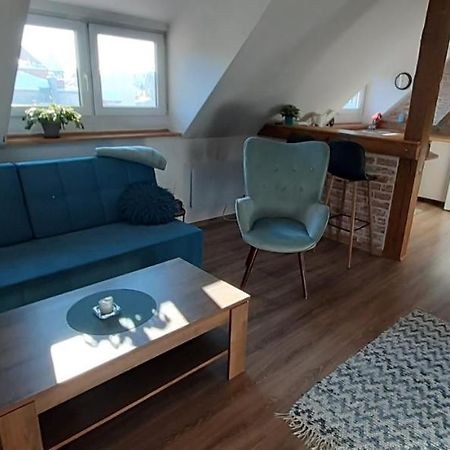 Urocze studio z klimatem w centrum Legnicy Legnica Zewnętrze zdjęcie