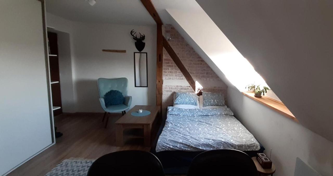 Urocze studio z klimatem w centrum Legnicy Legnica Zewnętrze zdjęcie