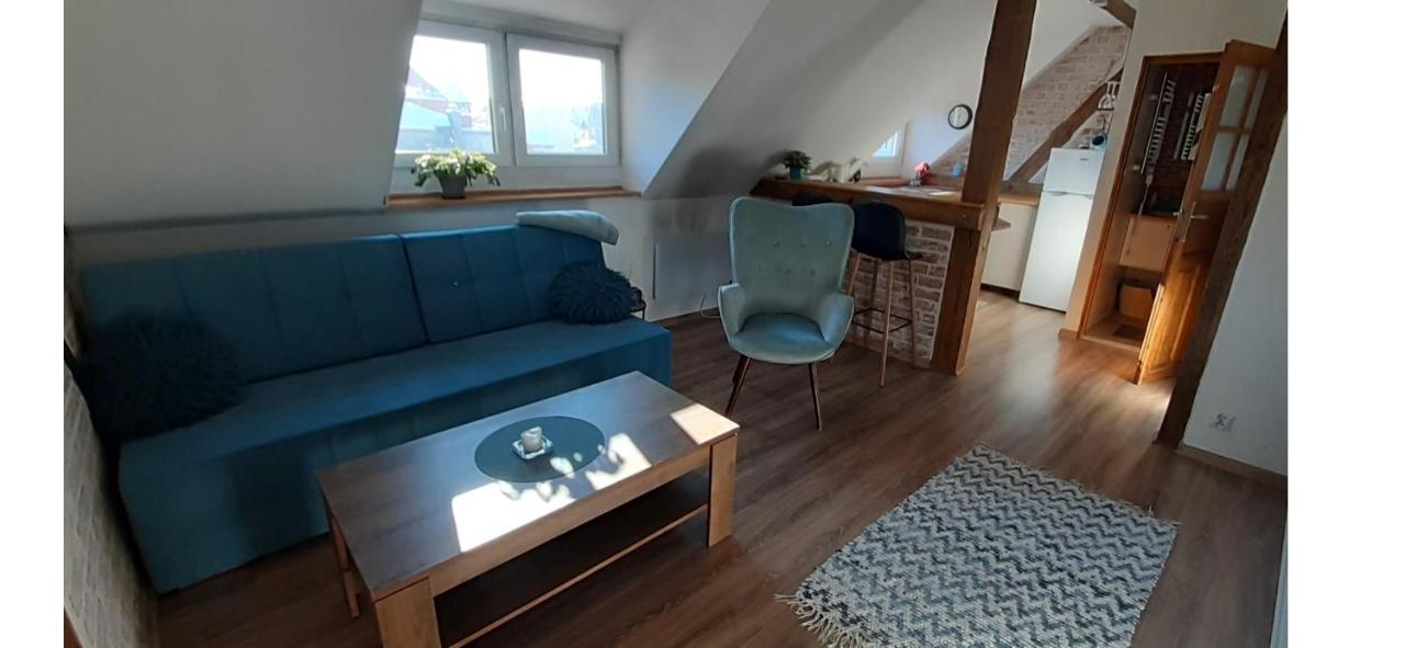 Urocze studio z klimatem w centrum Legnicy Legnica Zewnętrze zdjęcie